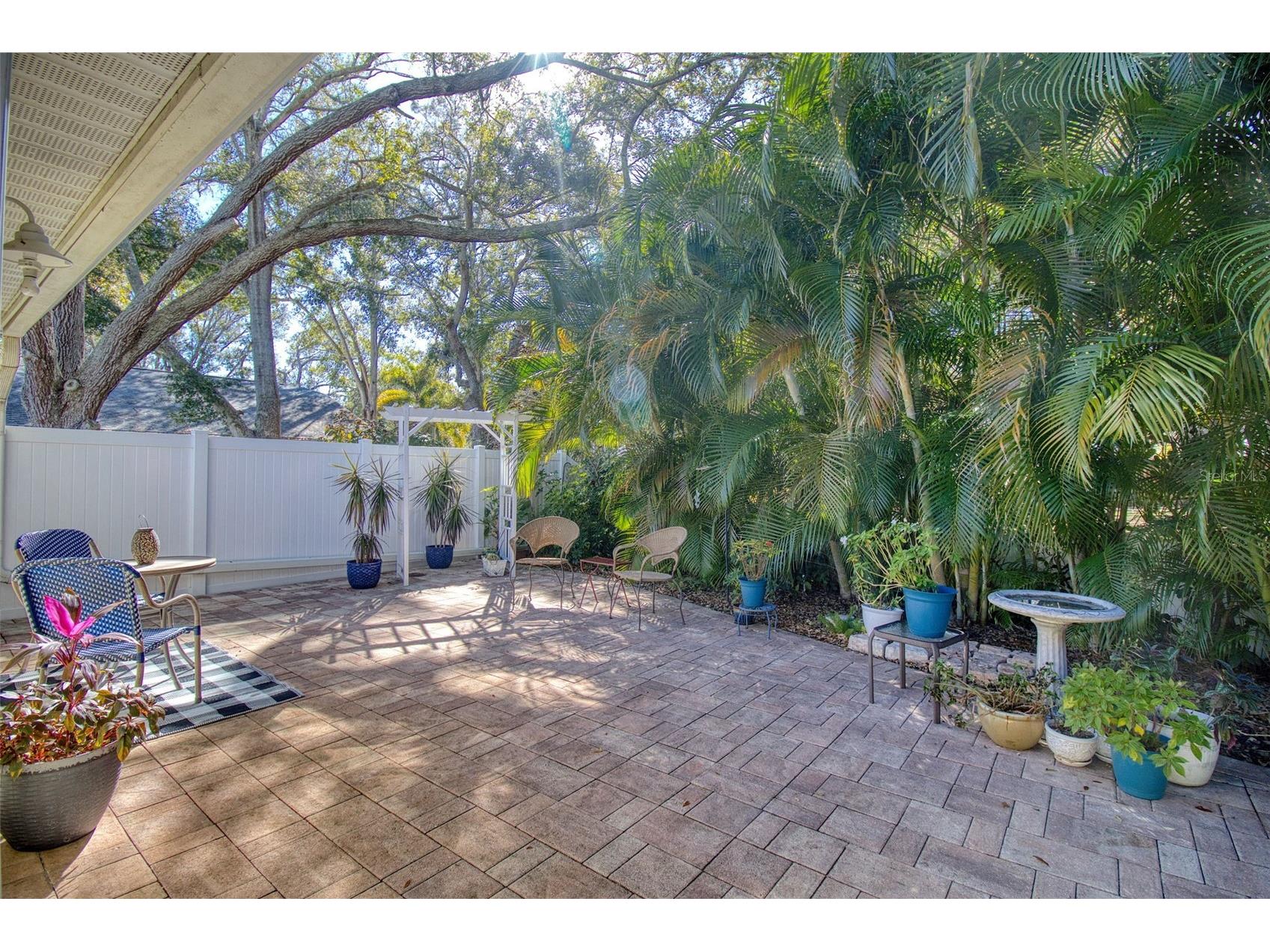 1460 Brier Court Palm Harbor FL 34683 TB8471479 image23