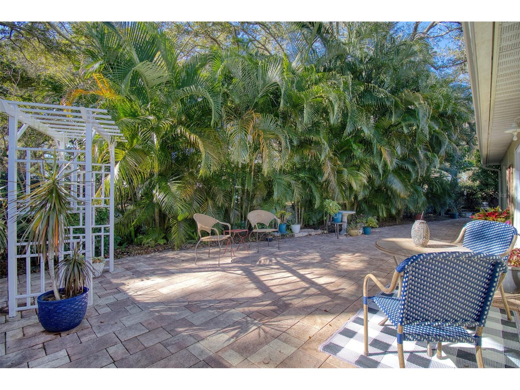 1460 Brier Court Palm Harbor FL 34683 TB8471479 image24