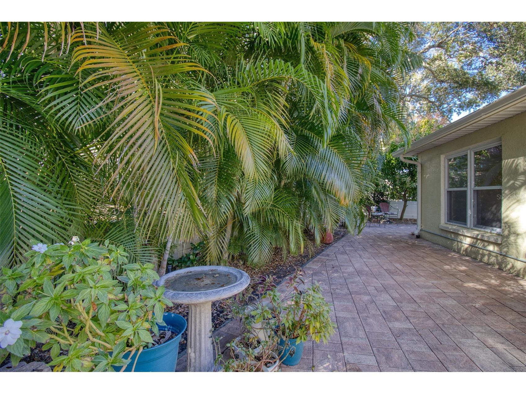 1460 Brier Court Palm Harbor FL 34683 TB8471479 image27