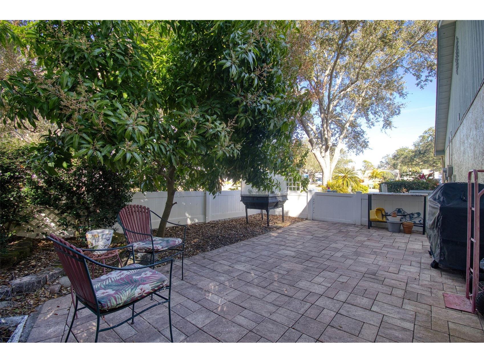 1460 Brier Court Palm Harbor FL 34683 TB8471479 image29