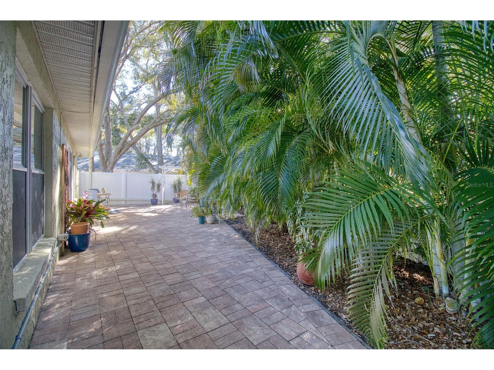 1460 Brier Court Palm Harbor FL 34683 TB8471479 image31