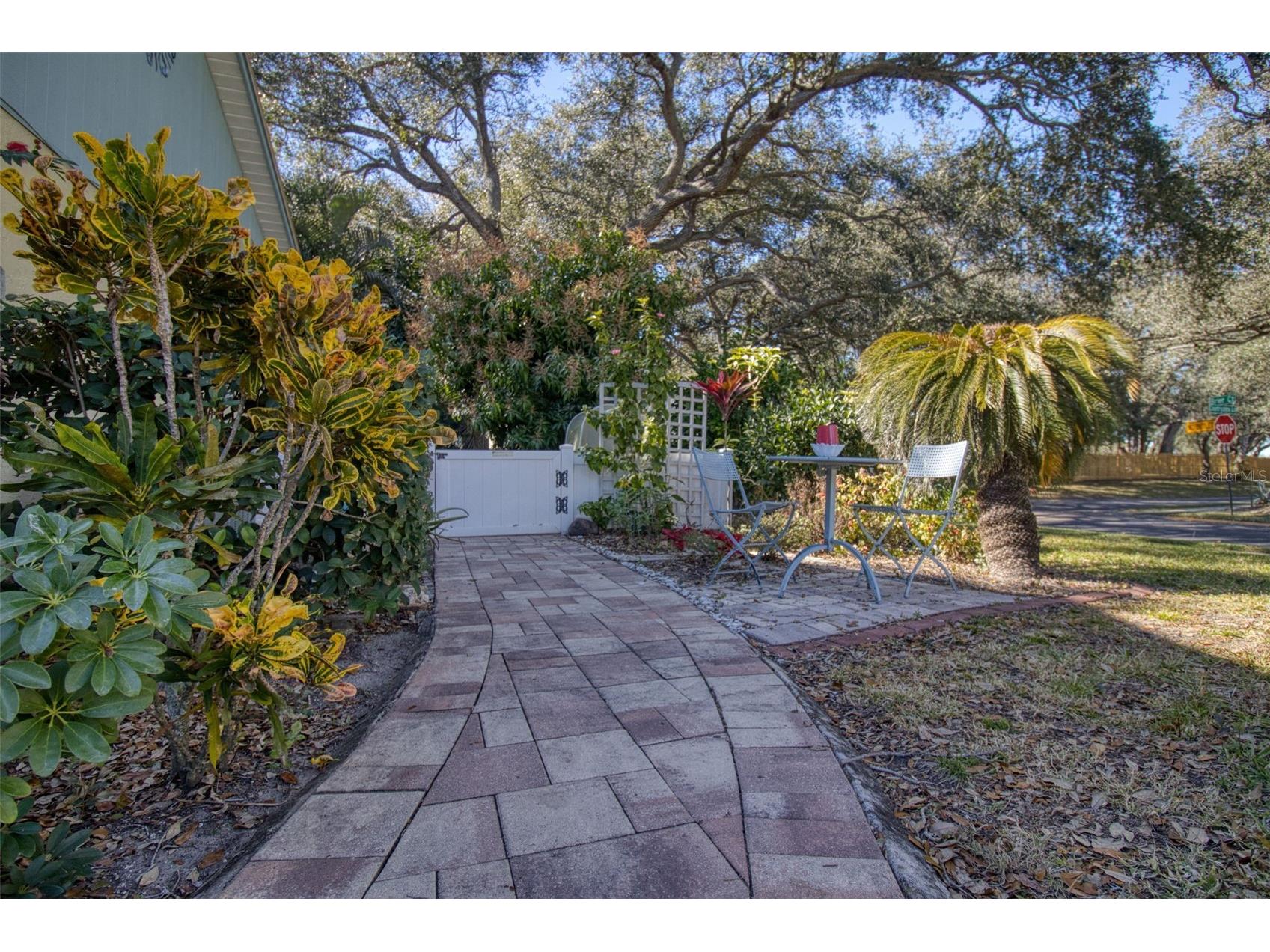 1460 Brier Court Palm Harbor FL 34683 TB8471479 image34