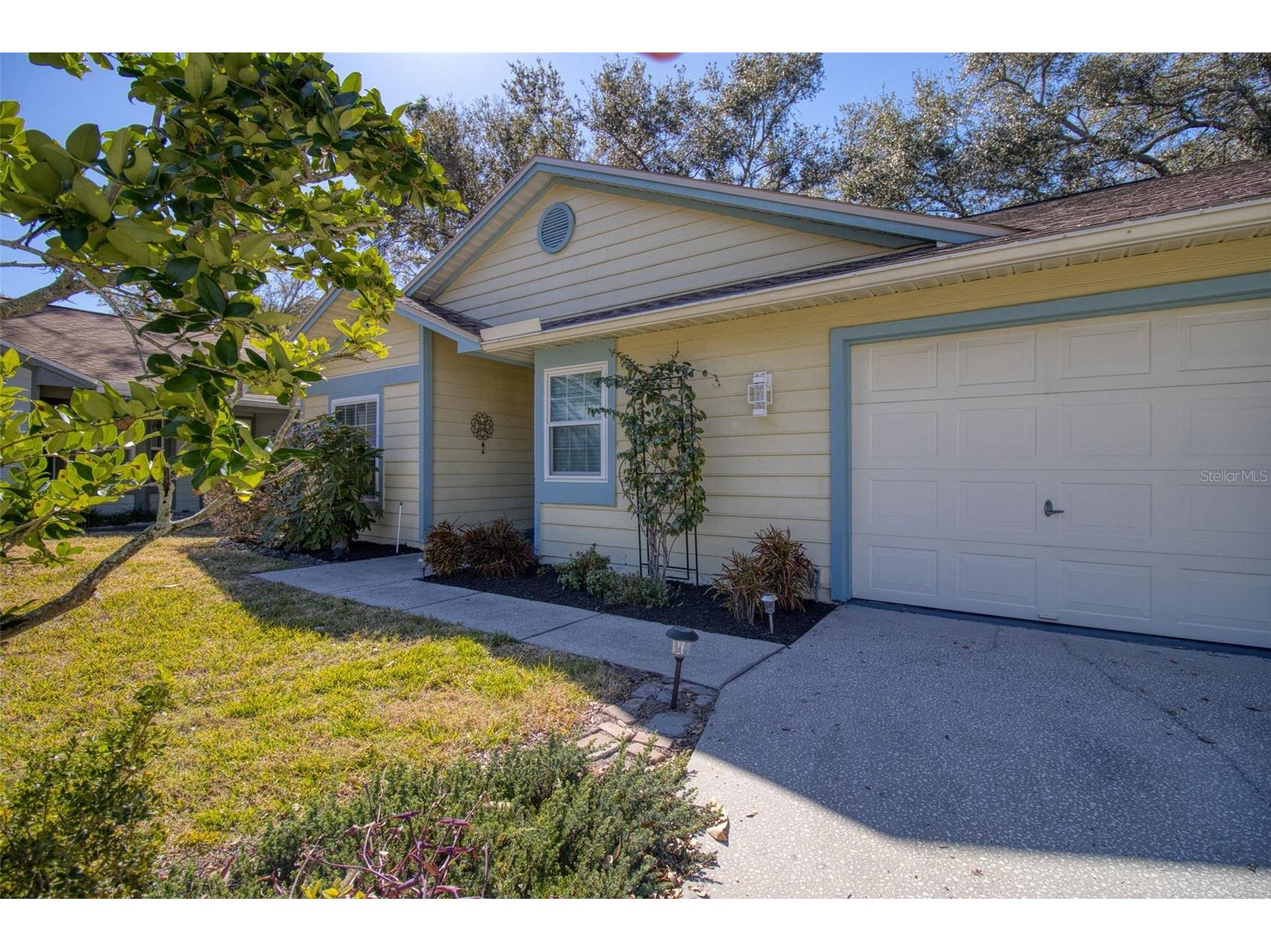 1460 Brier Court Palm Harbor FL 34683 TB8471479 image37