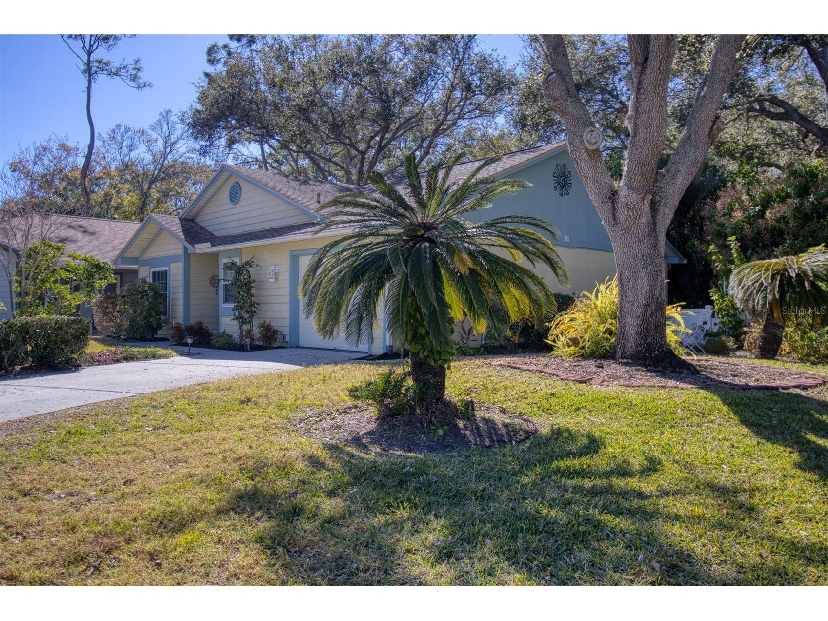 1460 Brier Court Palm Harbor FL 34683 TB8471479 image38