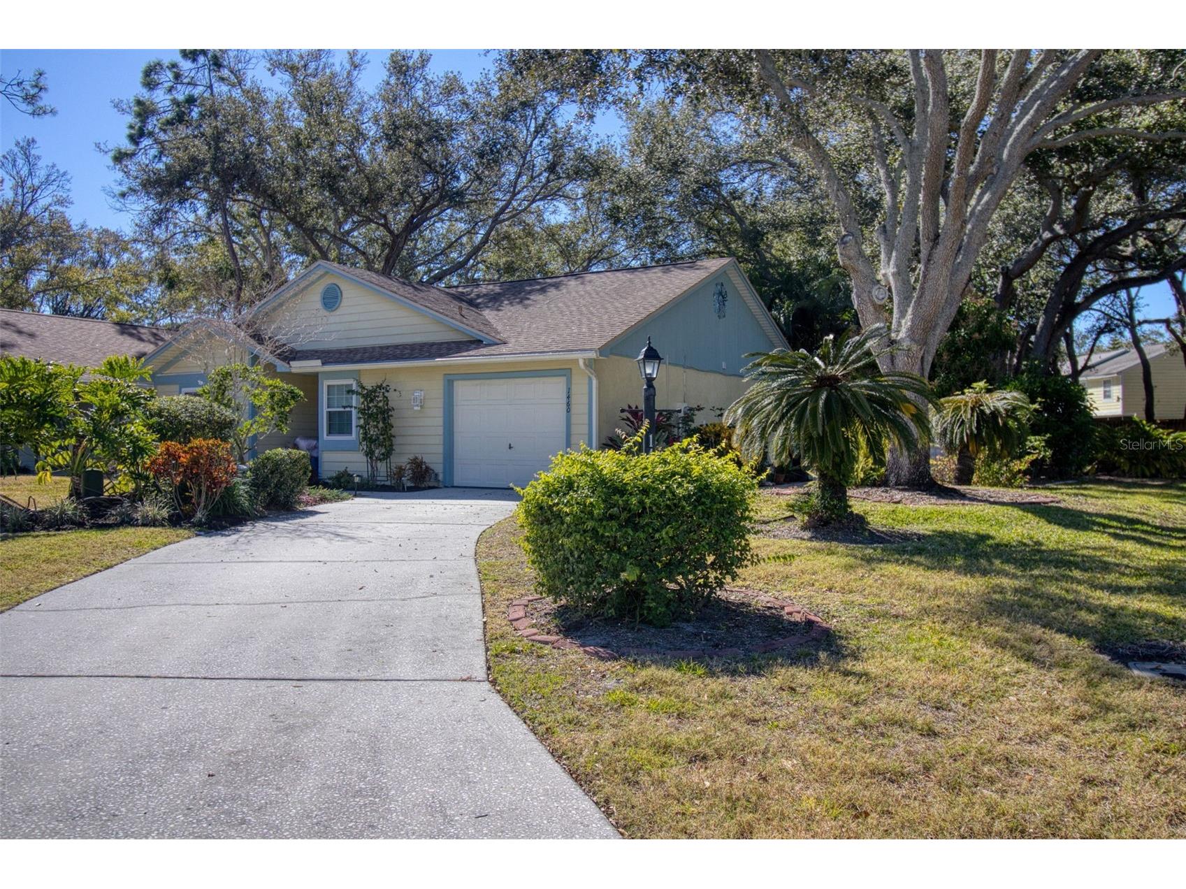 1460 Brier Court Palm Harbor FL 34683 TB8471479 image39