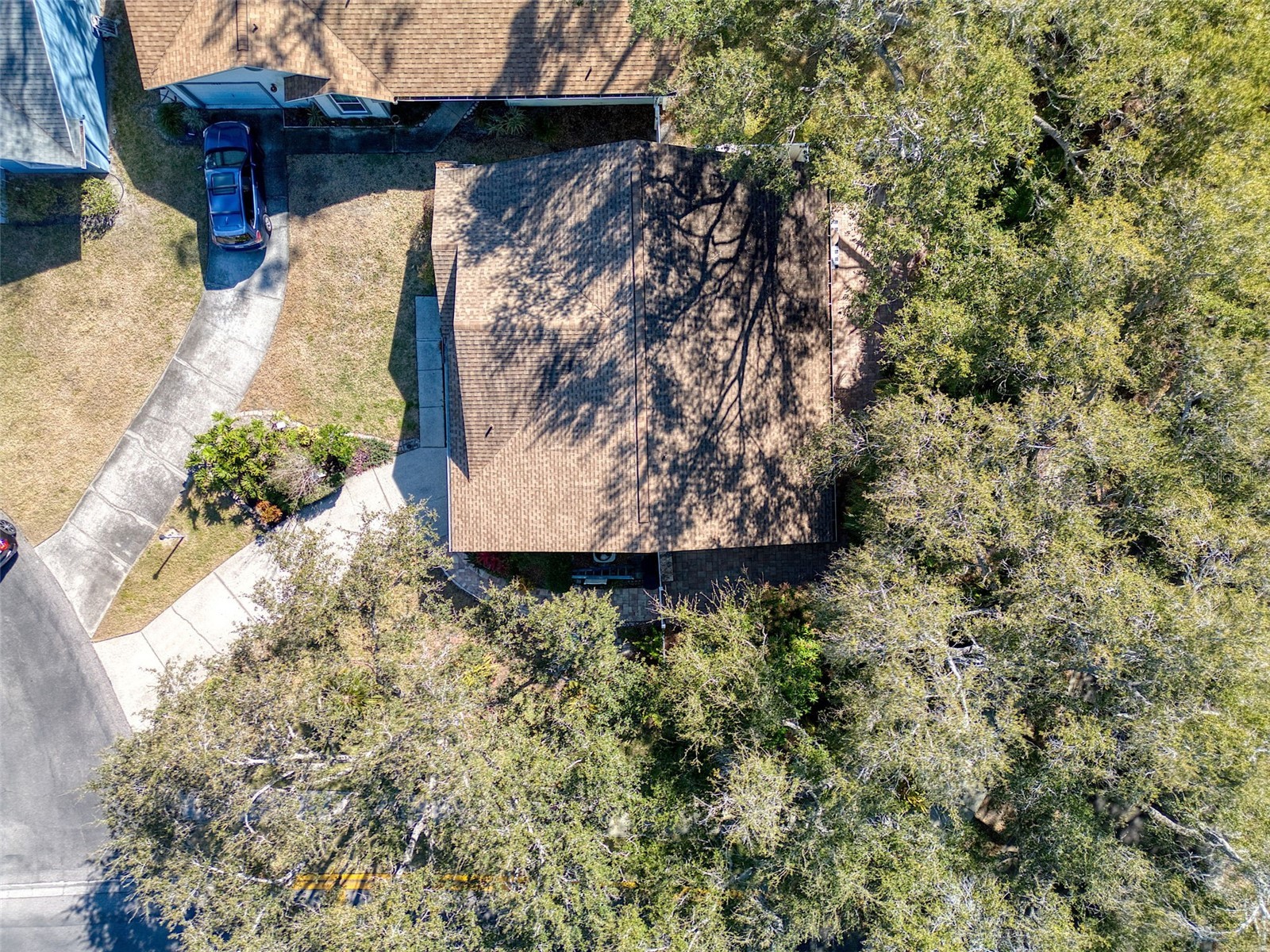 1460 Brier Court Palm Harbor FL 34683 TB8471479 image41