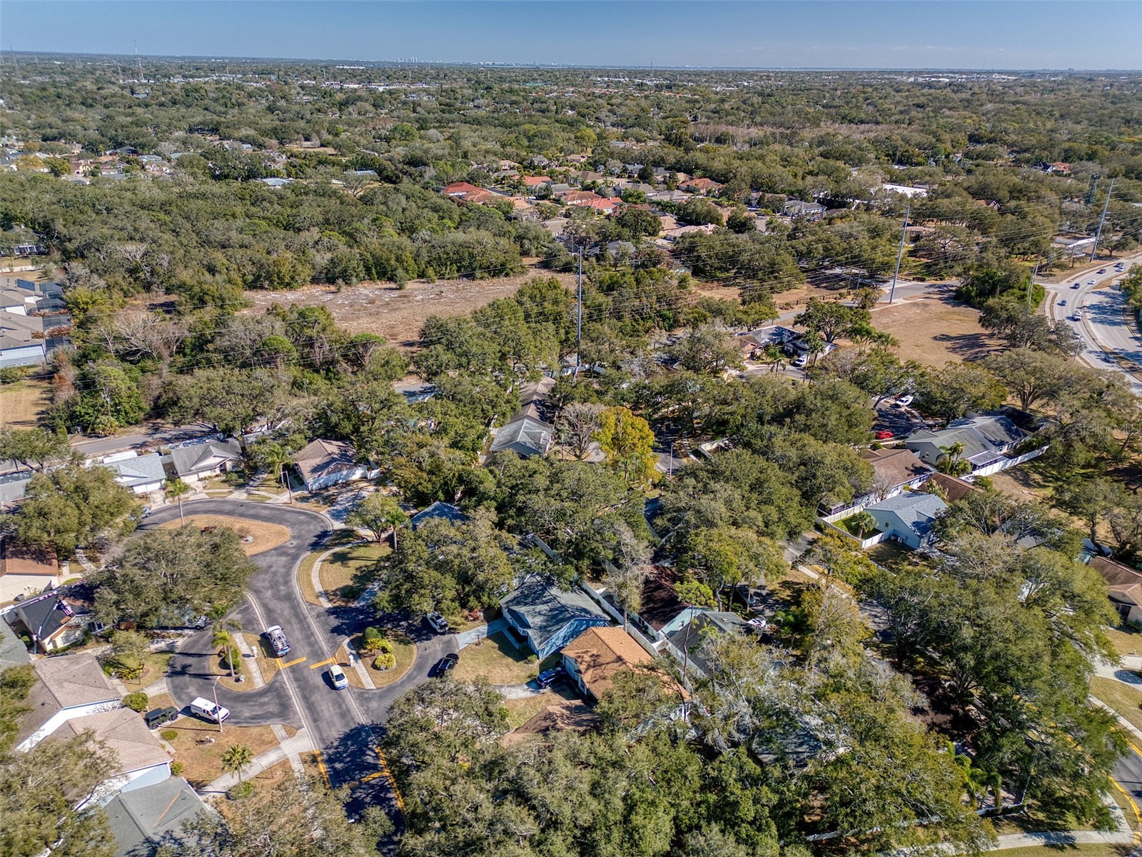 1460 Brier Court Palm Harbor FL 34683 TB8471479 image43