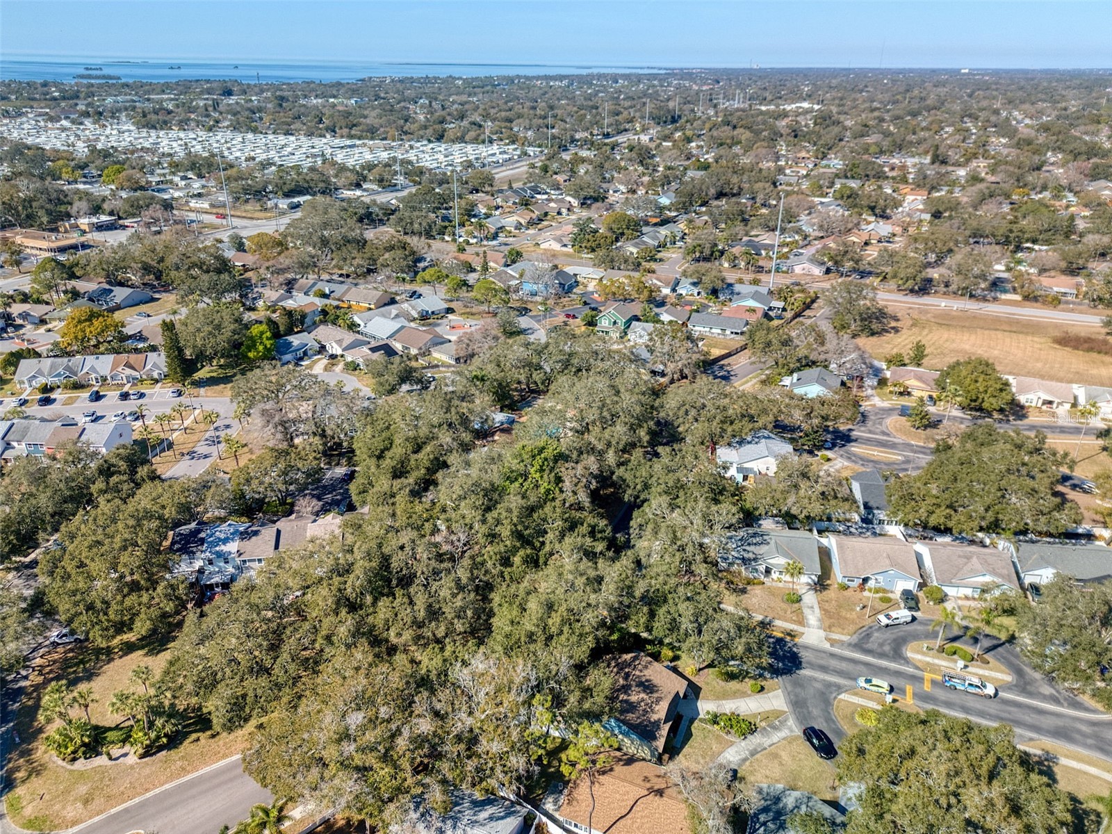 1460 Brier Court Palm Harbor FL 34683 TB8471479 image44