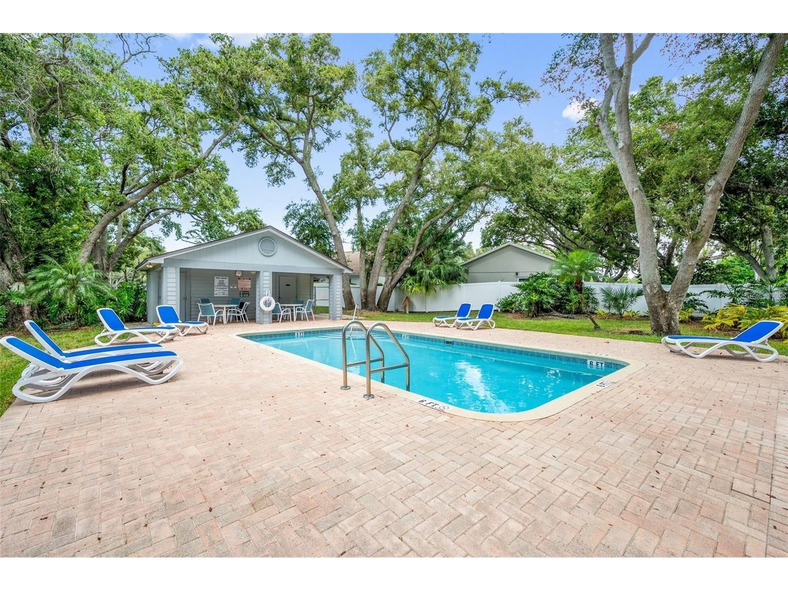 1460 Brier Court Palm Harbor FL 34683 TB8471479 image45