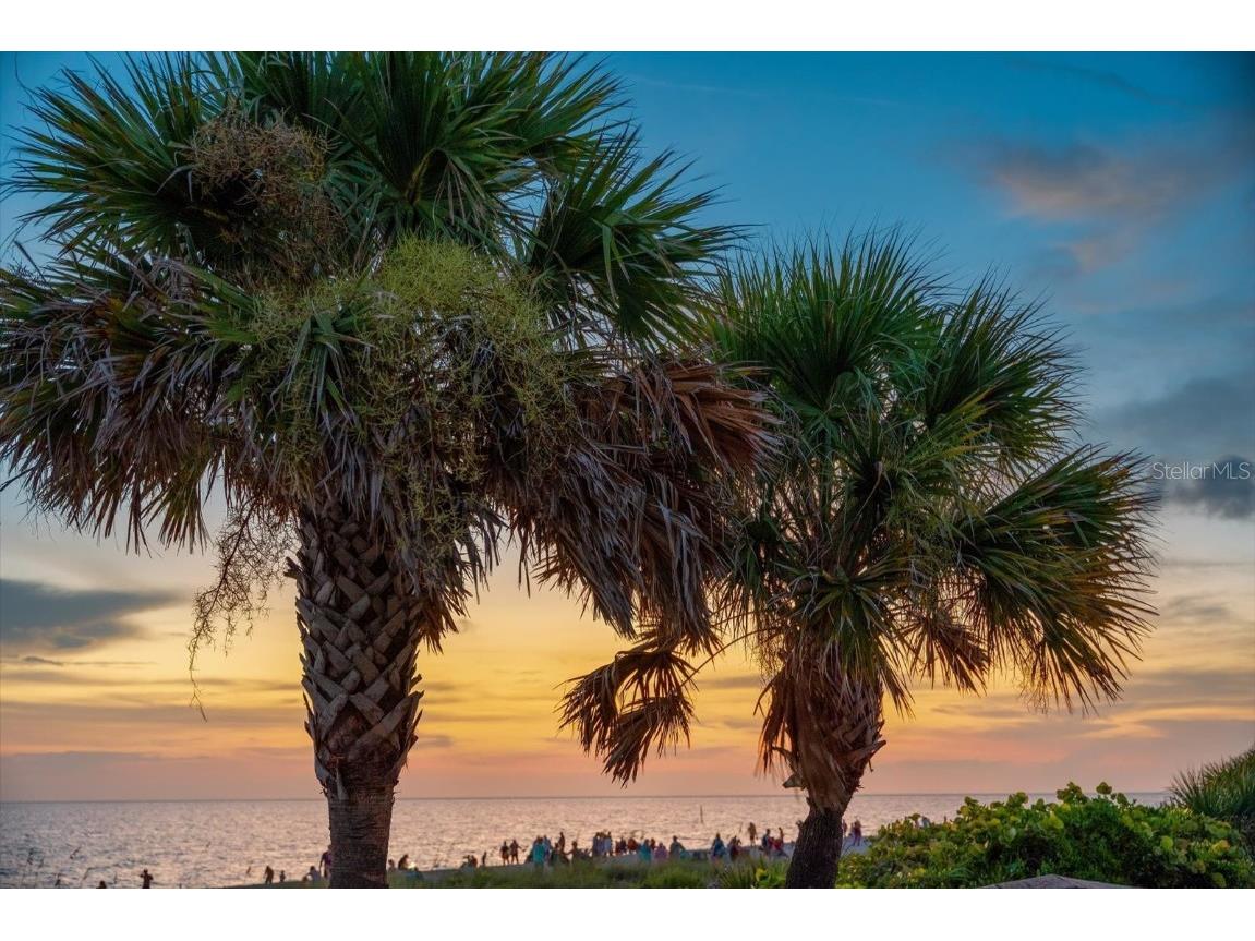 1460 Deer Creek Drive Englewood FL 34223 - LEMON BAY D6144571 image44