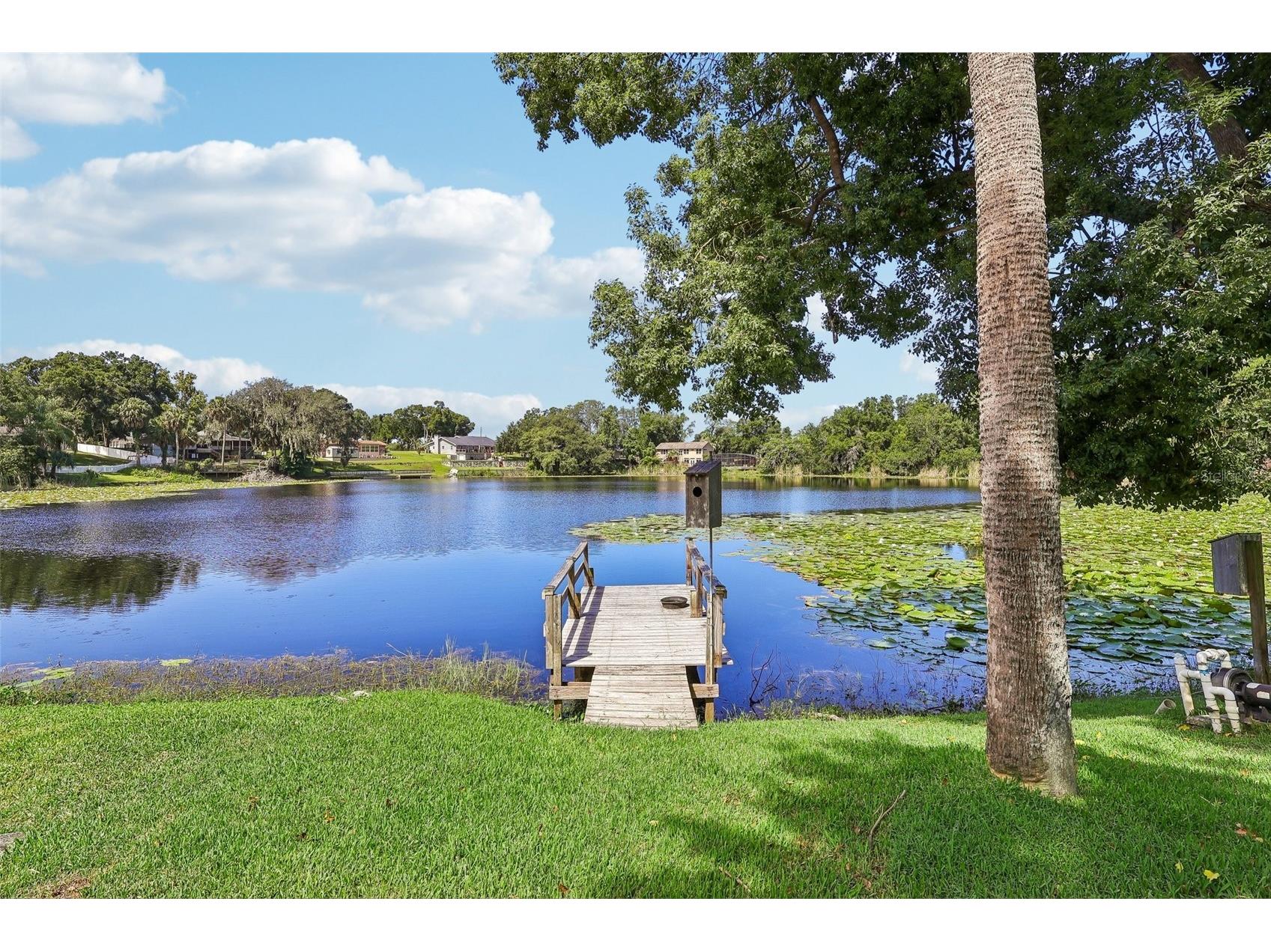 1460 Grove Street Eustis FL 32726 - LAKE IRMA G5114019 image2