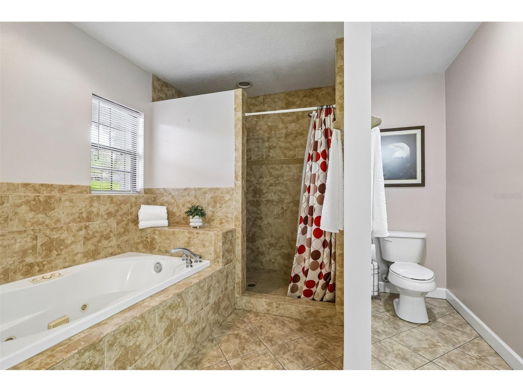 1460 Grove Street Eustis FL 32726 - LAKE IRMA G5114019 image22