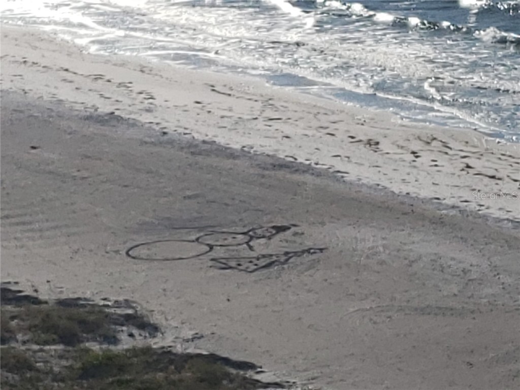 1460 Gulf Boulevard #1102 Clearwater FL 33767 - GULF OF MEXICO U8220993 image31