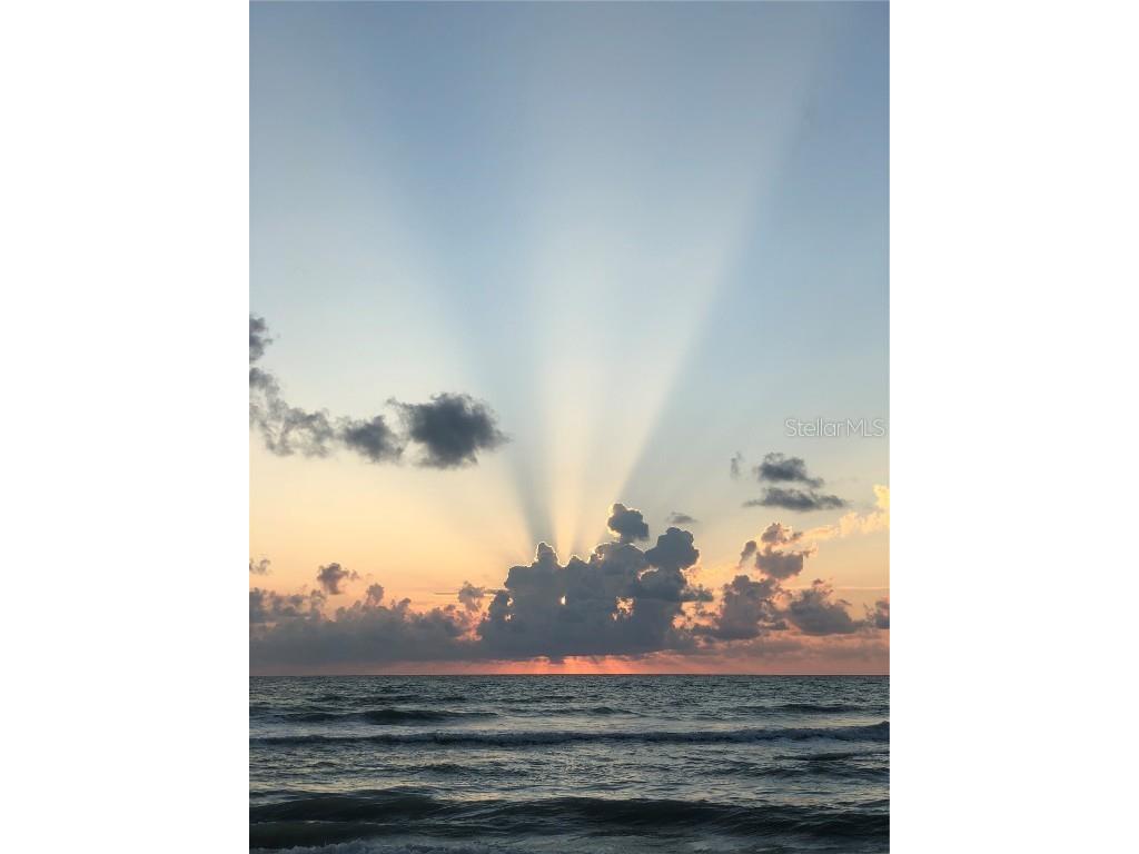 1460 Gulf Boulevard #1102 Clearwater FL 33767 - GULF OF MEXICO U8220993 image37