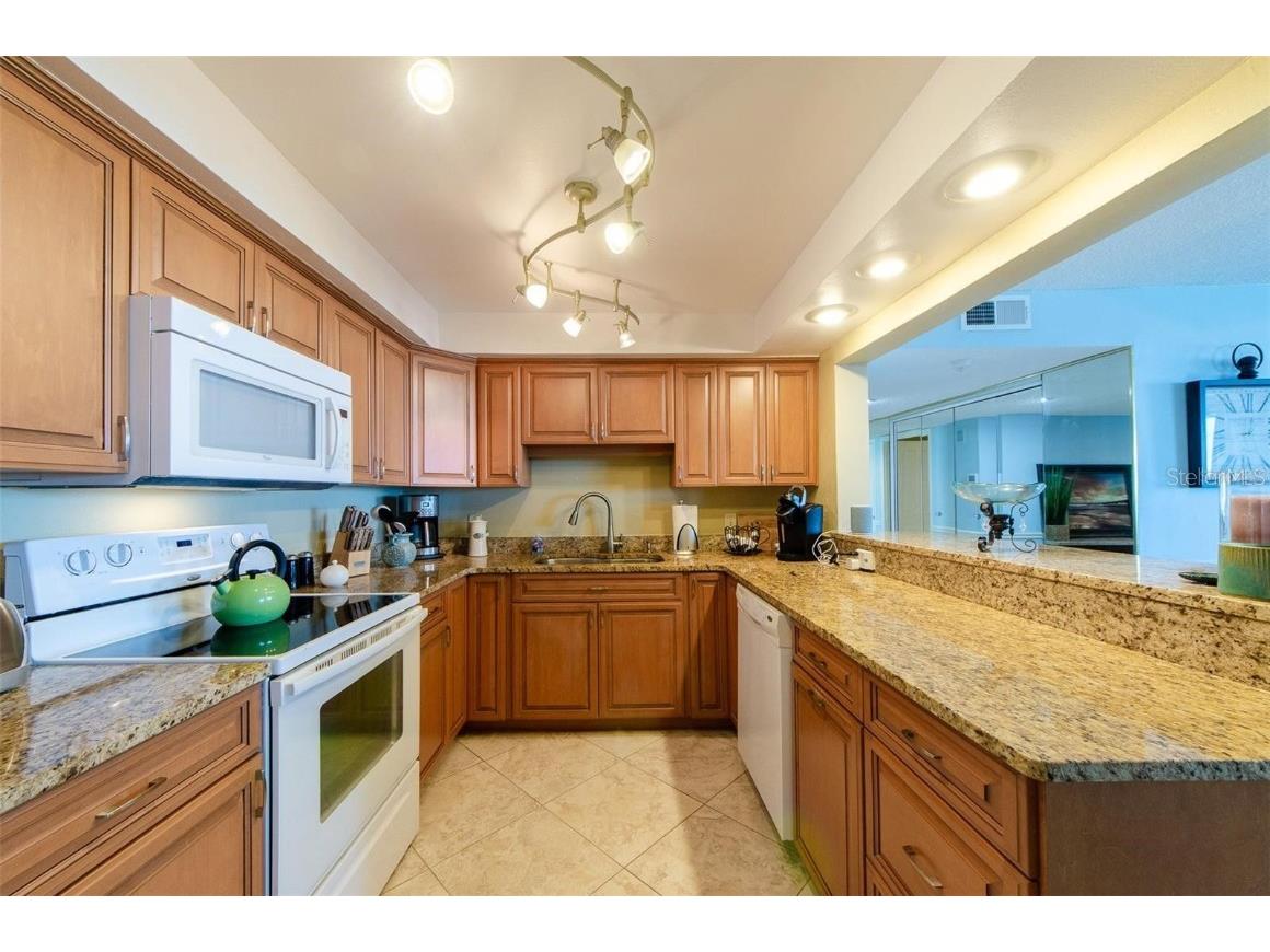 1460 Gulf Boulevard #1105 Clearwater Beach FL 33767 TB8394137 image10