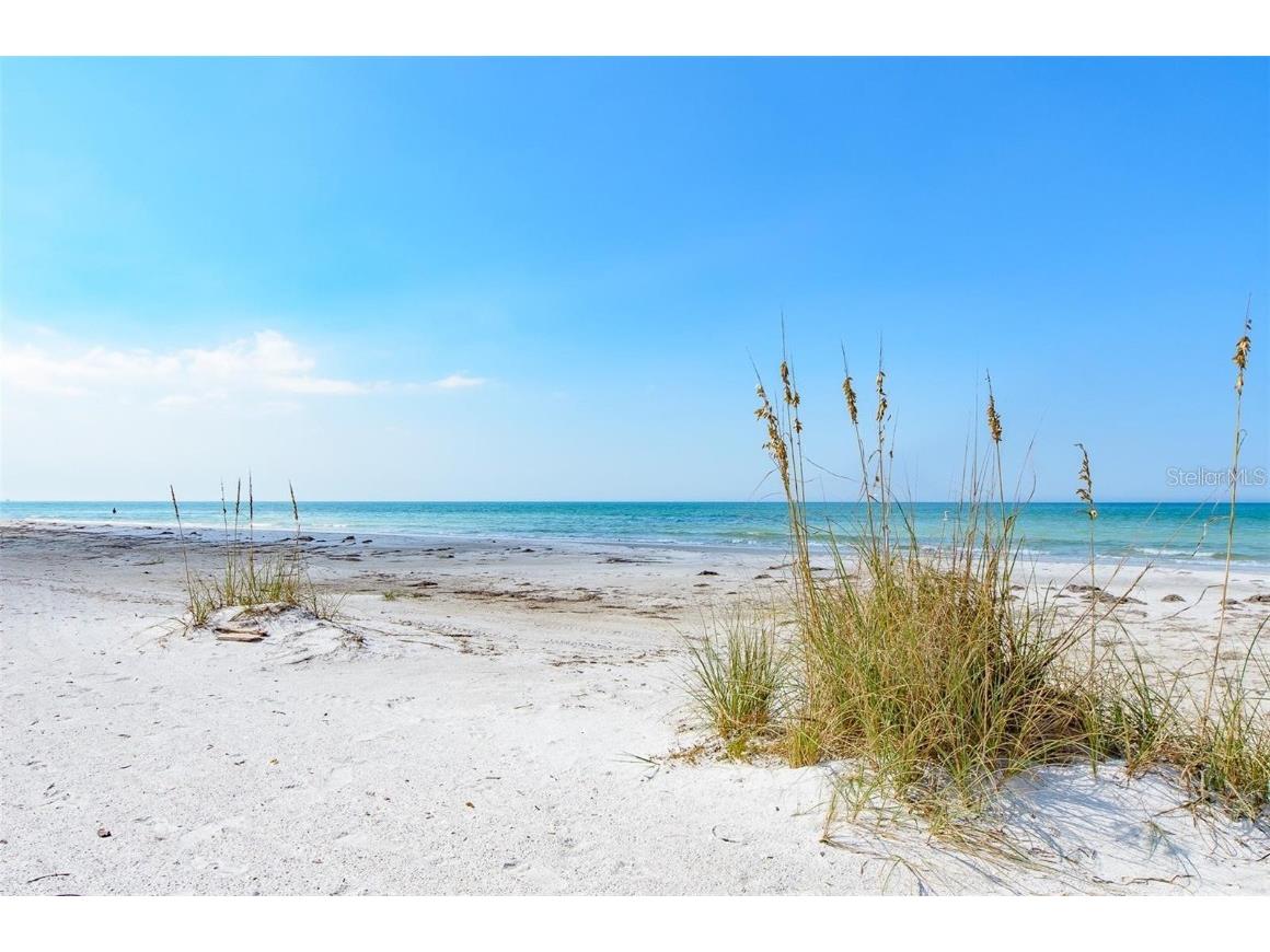 1460 Gulf Boulevard #1105 Clearwater Beach FL 33767 TB8394137 image33