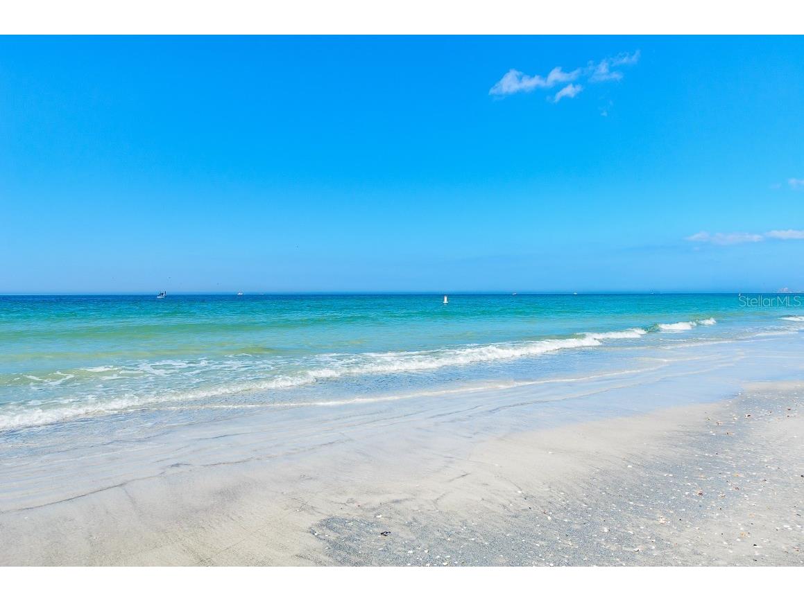 1460 Gulf Boulevard #1105 Clearwater Beach FL 33767 TB8394137 image6