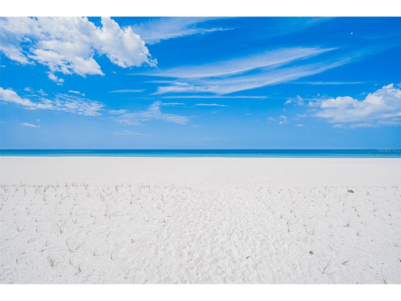 1460 Gulf Boulevard #1205 Clearwater Beach FL 33767 TB8493482 image52