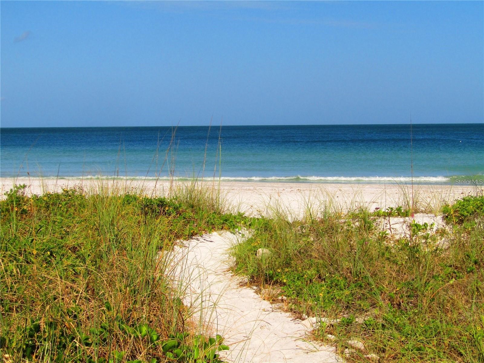 1460 Gulf Boulevard #308 Clearwater Beach FL 33767 TB8501919 image36
