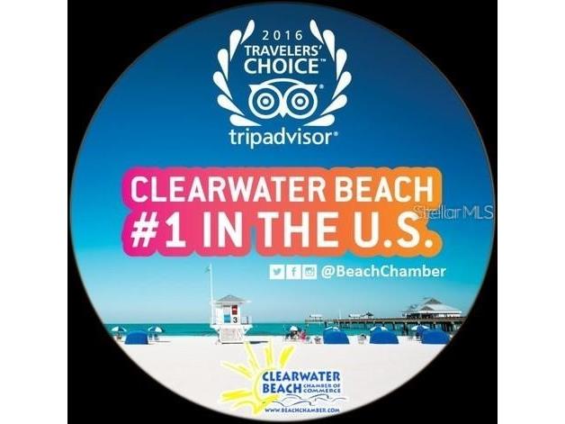 1460 Gulf Boulevard #411 Clearwater Beach FL 33767 TB8473371 image47