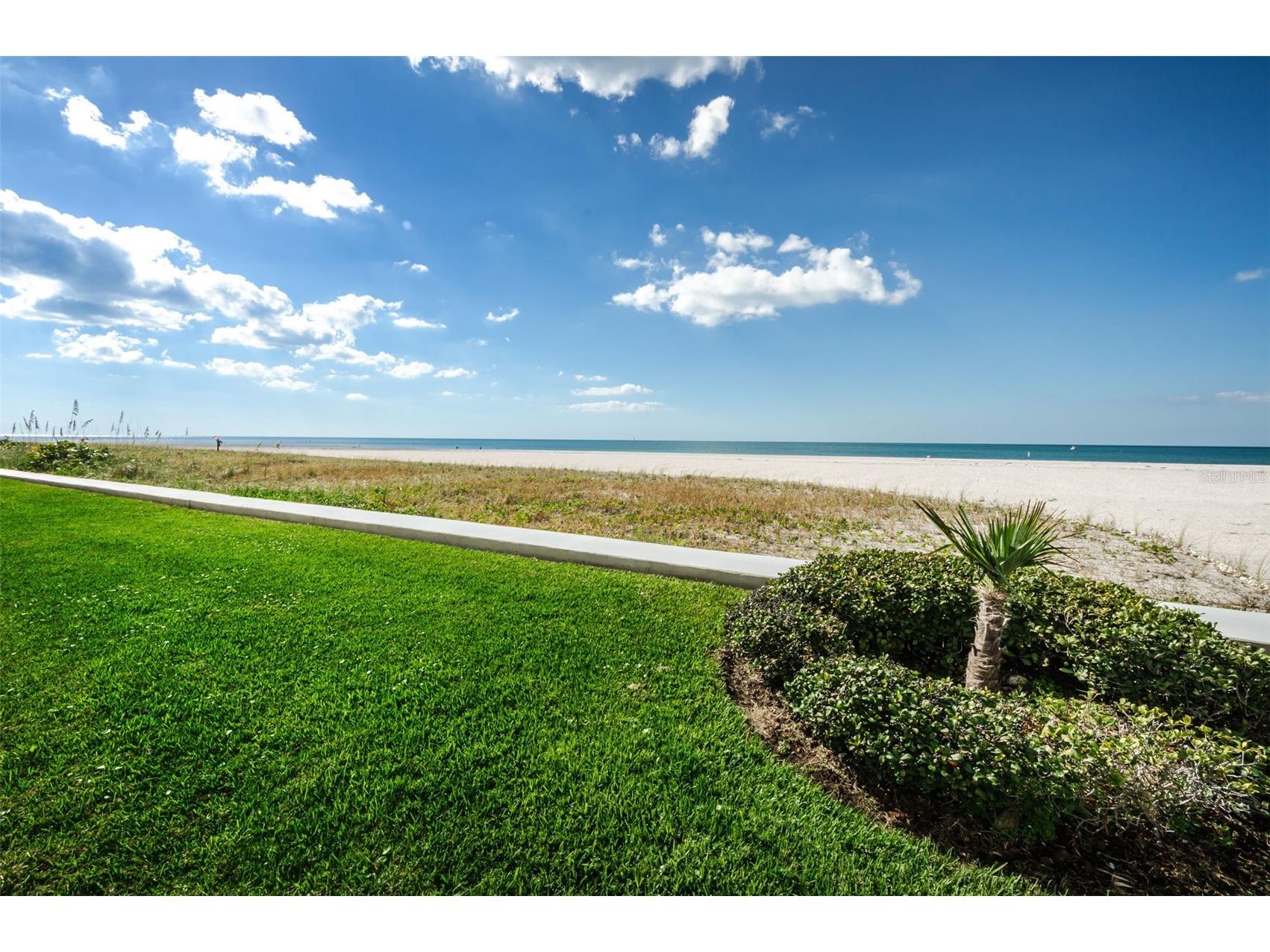 1460 Gulf Boulevard #506 Clearwater FL 33767 TB8477461 image42