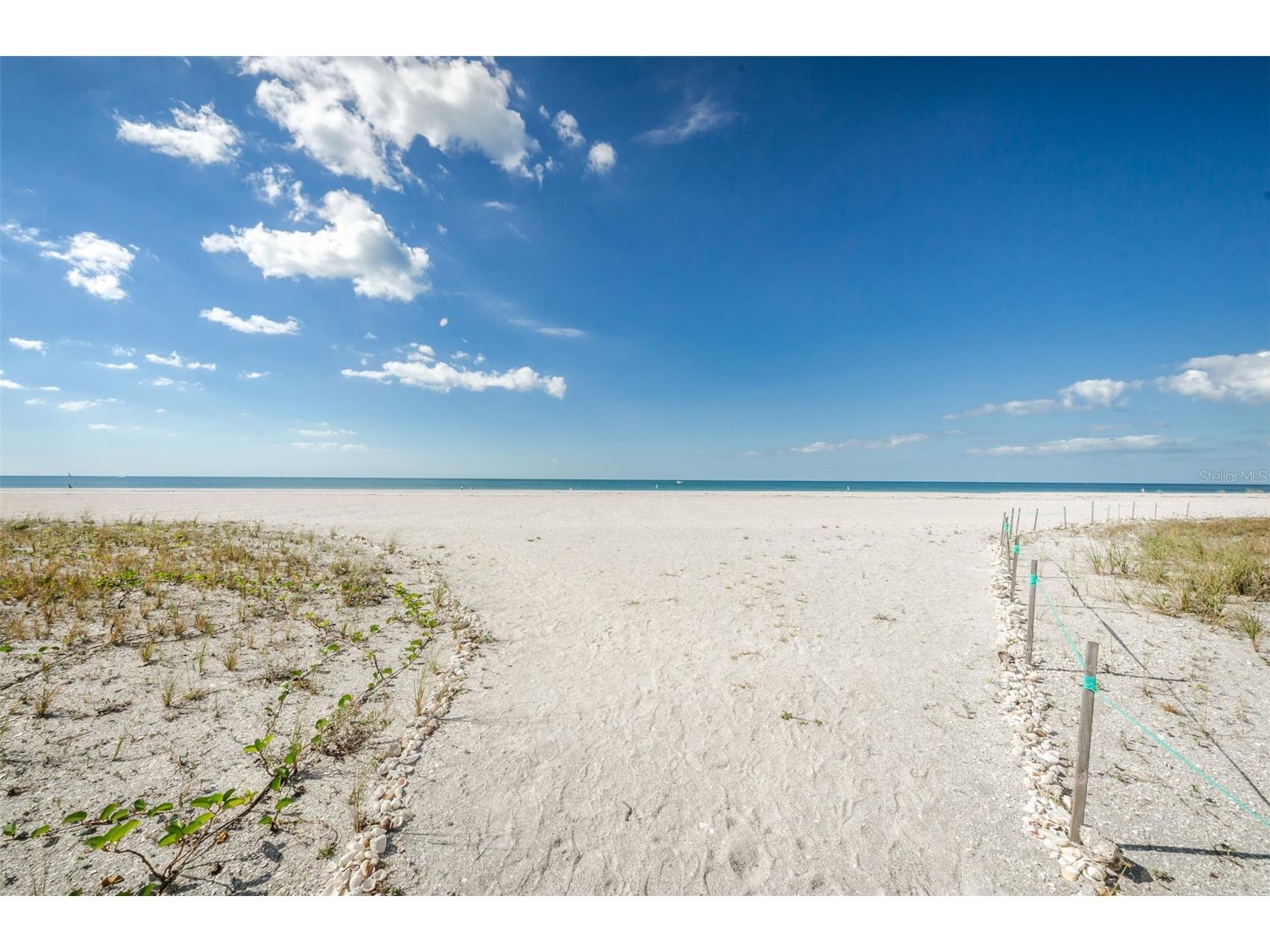 1460 Gulf Boulevard #506 Clearwater FL 33767 TB8477461 image46