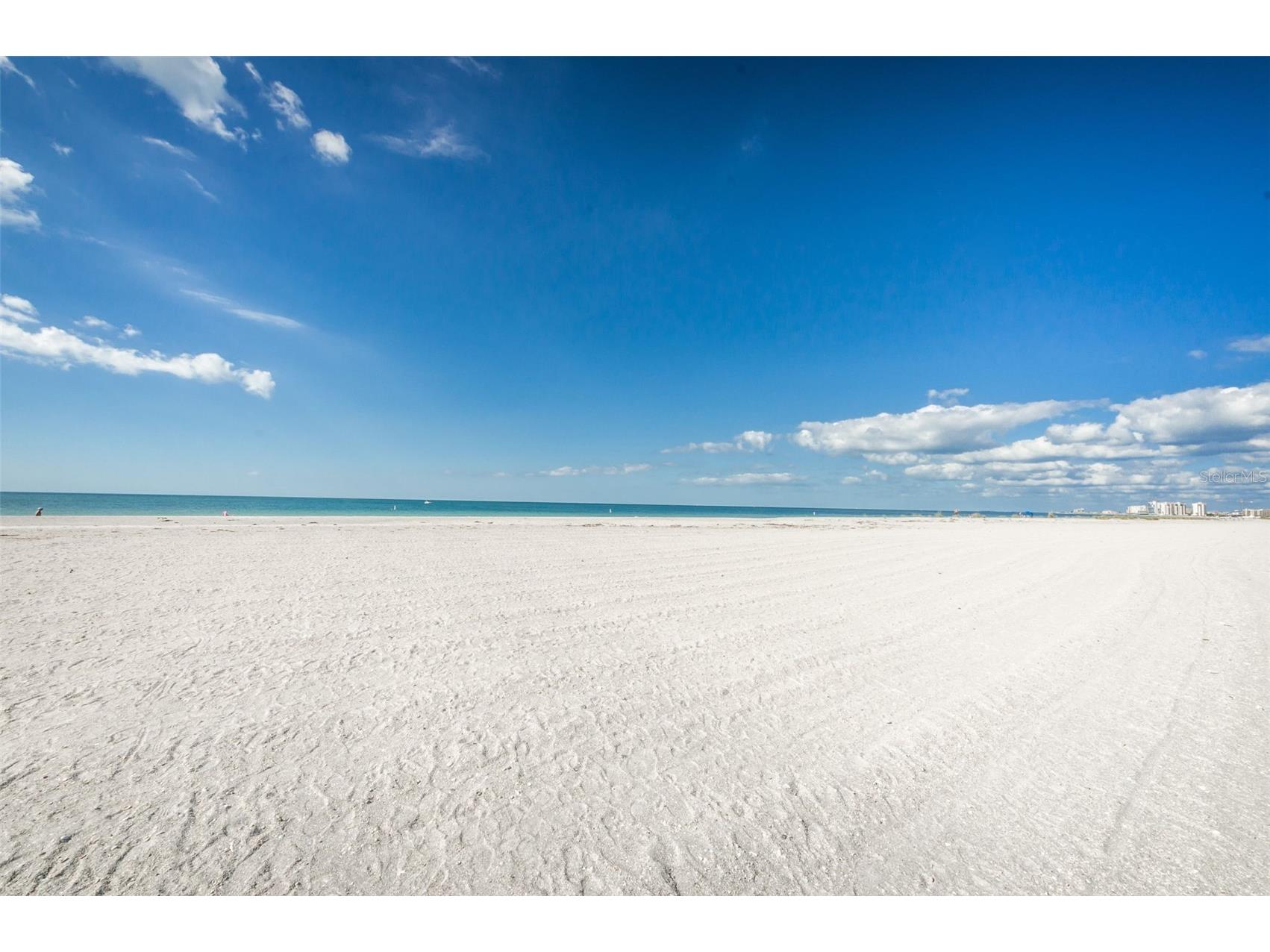 1460 Gulf Boulevard #506 Clearwater FL 33767 TB8477461 image47