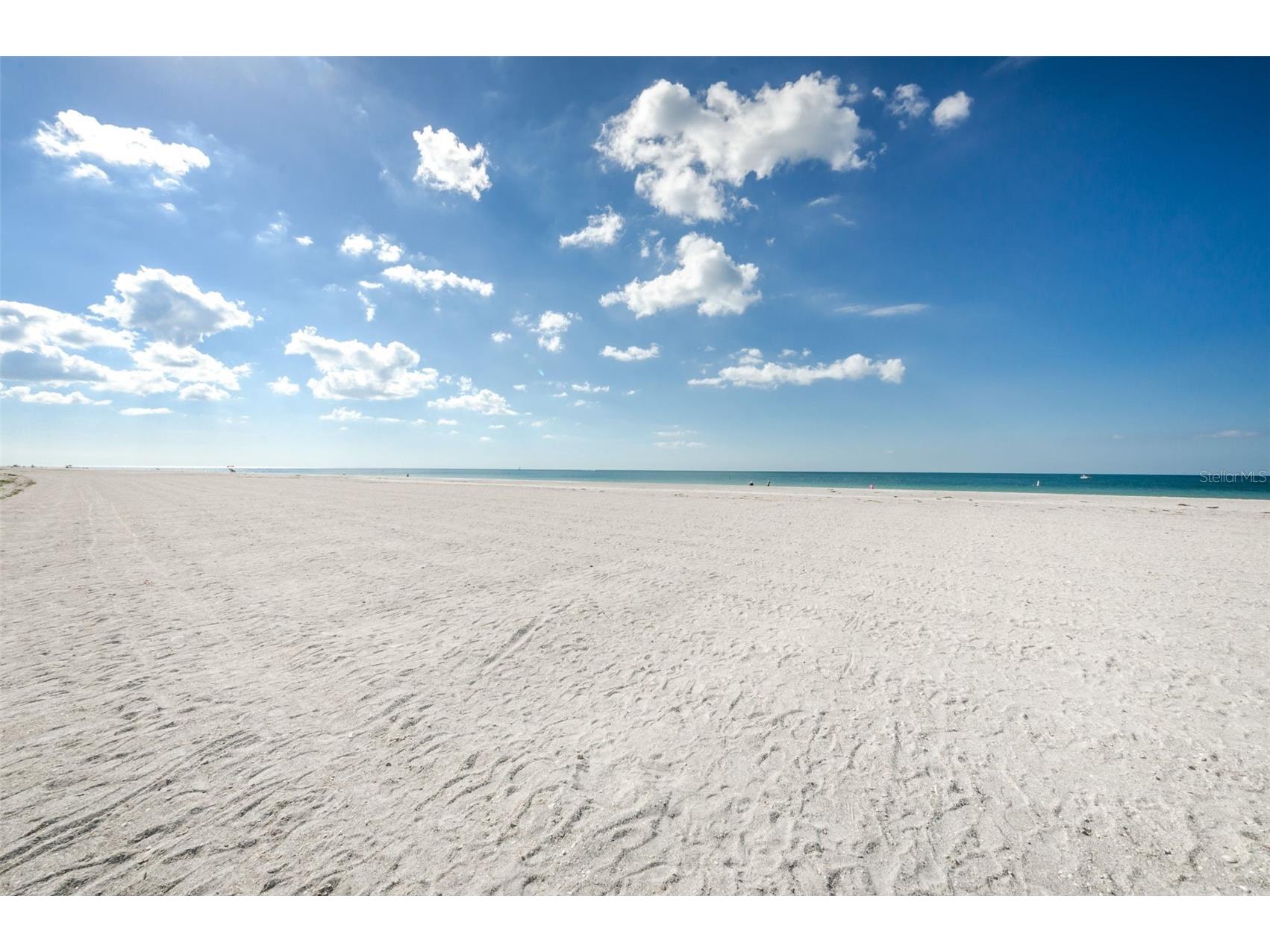 1460 Gulf Boulevard #506 Clearwater FL 33767 TB8477461 image48