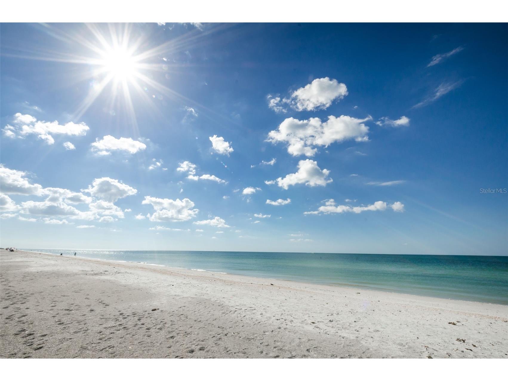1460 Gulf Boulevard #506 Clearwater FL 33767 TB8477461 image49