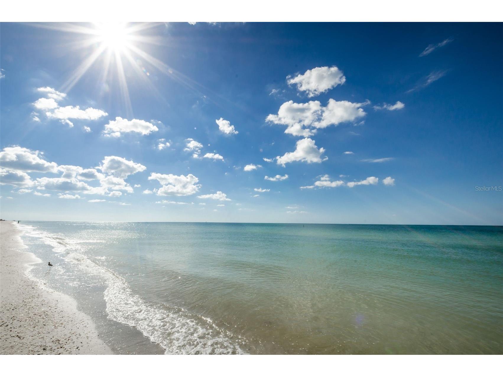 1460 Gulf Boulevard #506 Clearwater FL 33767 TB8477461 image50