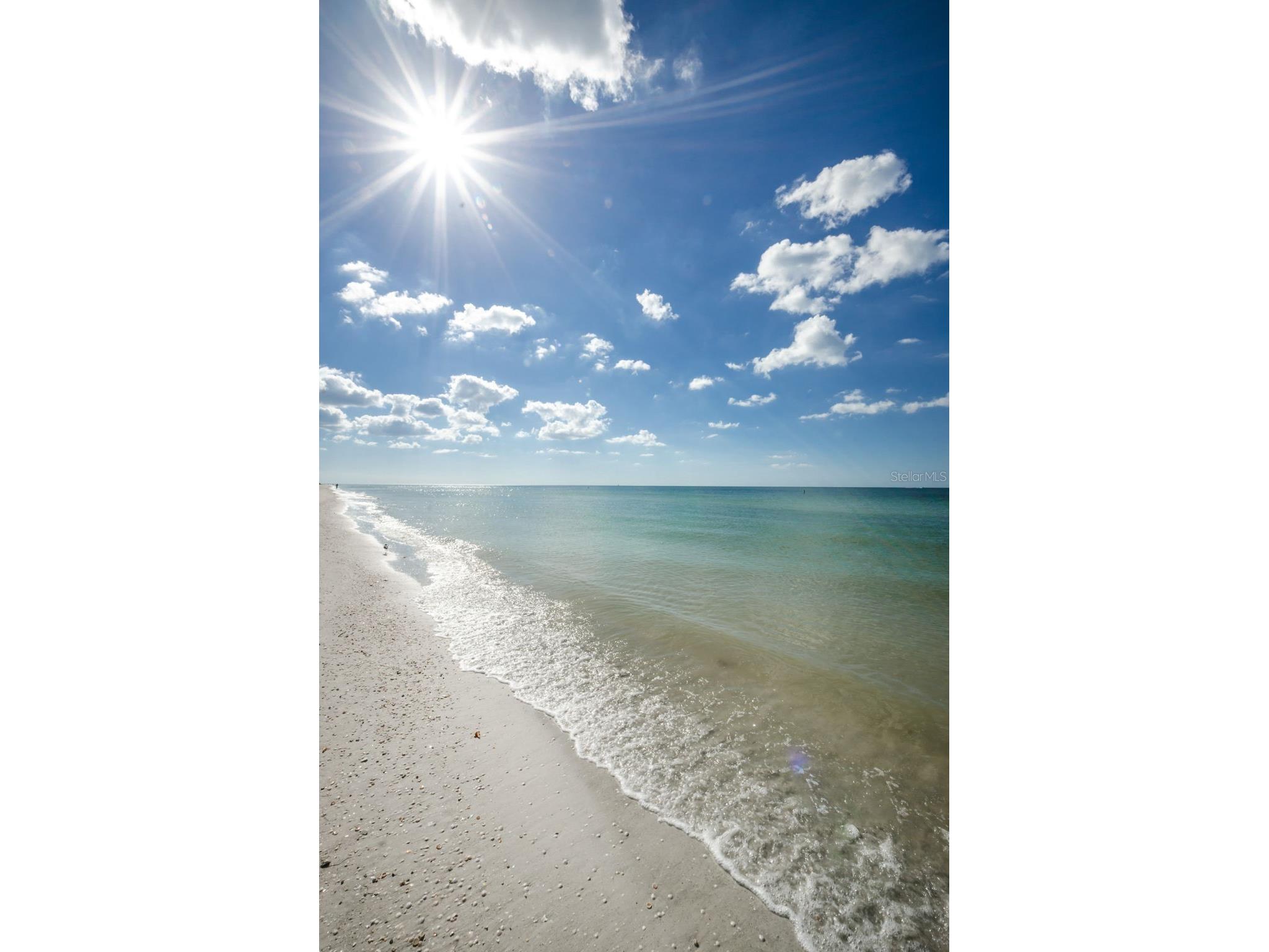 1460 Gulf Boulevard #506 Clearwater FL 33767 TB8477461 image51