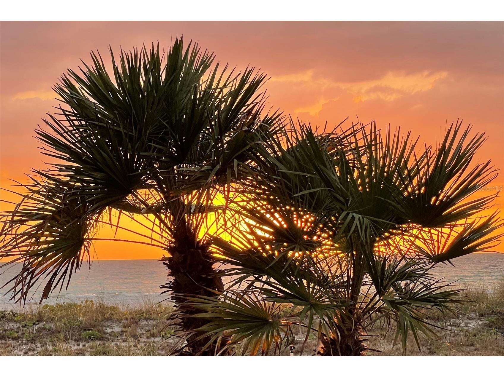 1460 Gulf Boulevard #511 Clearwater Beach FL 33767 TB8487809 image53