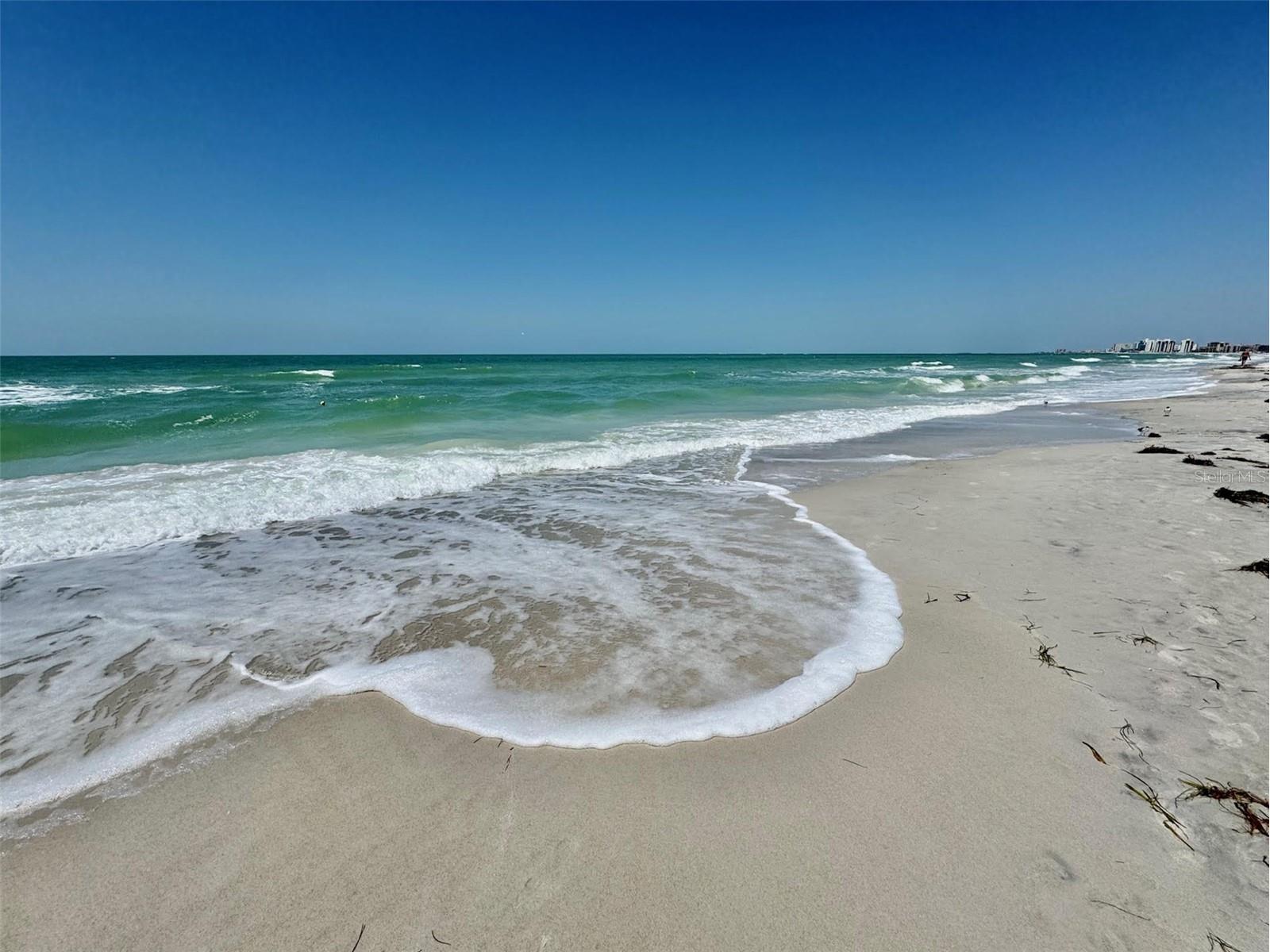 1460 Gulf Boulevard #605 Clearwater Beach FL 33767 - GULF SAND KEY BEACH TB8507458 image52