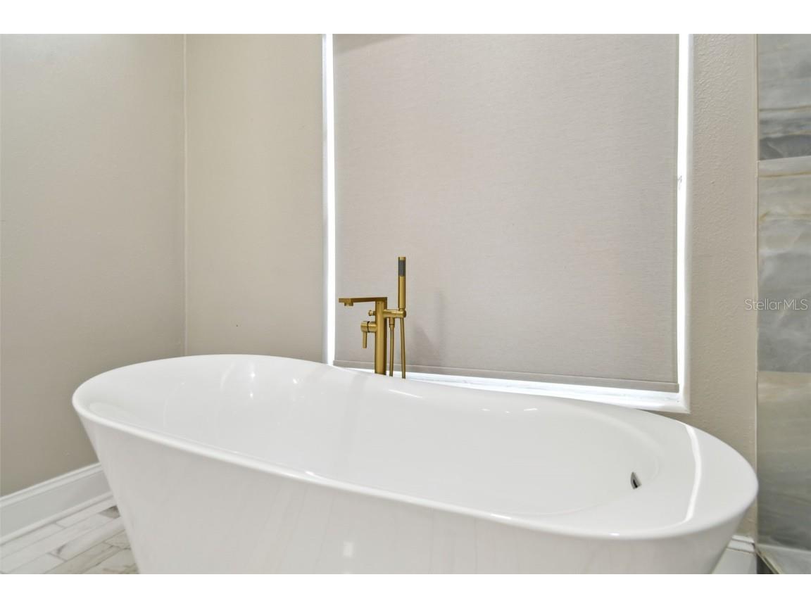 1460 Kensington Woods Drive Lutz FL 33549 TB8393303 image30