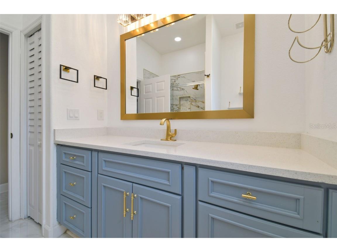 1460 Kensington Woods Drive Lutz FL 33549 TB8393303 image44