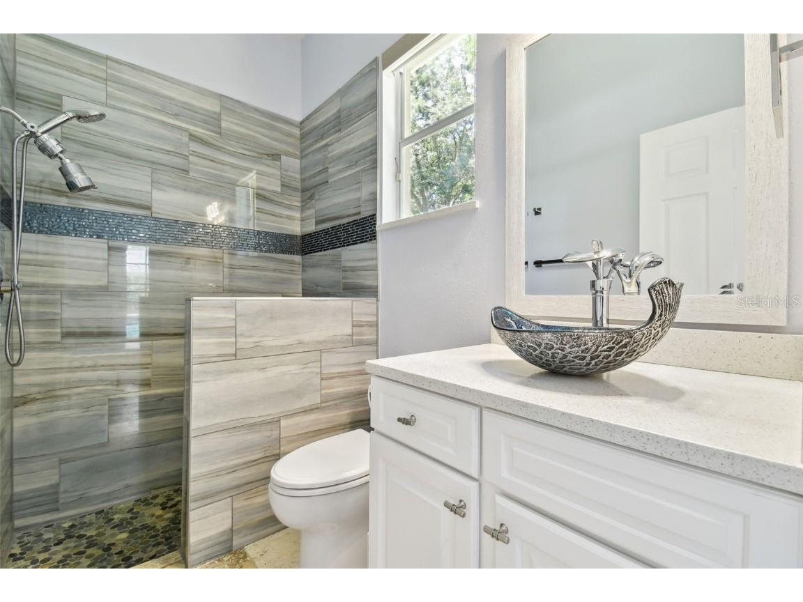 1460 Kensington Woods Drive Lutz FL 33549 TB8393303 image52