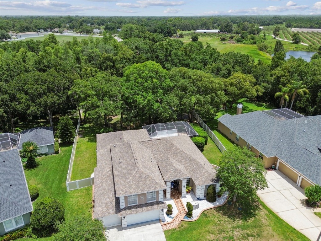 1460 Kensington Woods Drive Lutz FL 33549 TB8393303 image70