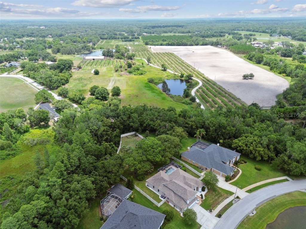 1460 Kensington Woods Drive Lutz FL 33549 TB8393303 image73