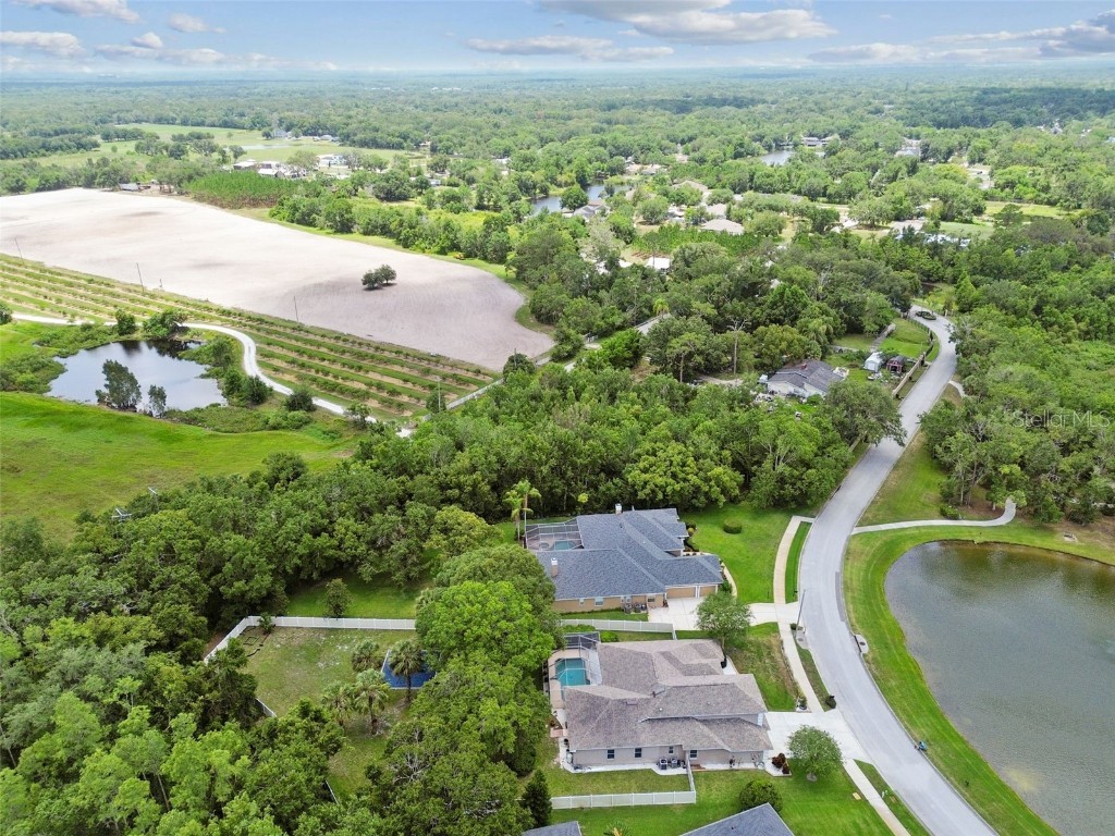 1460 Kensington Woods Drive Lutz FL 33549 TB8393303 image74