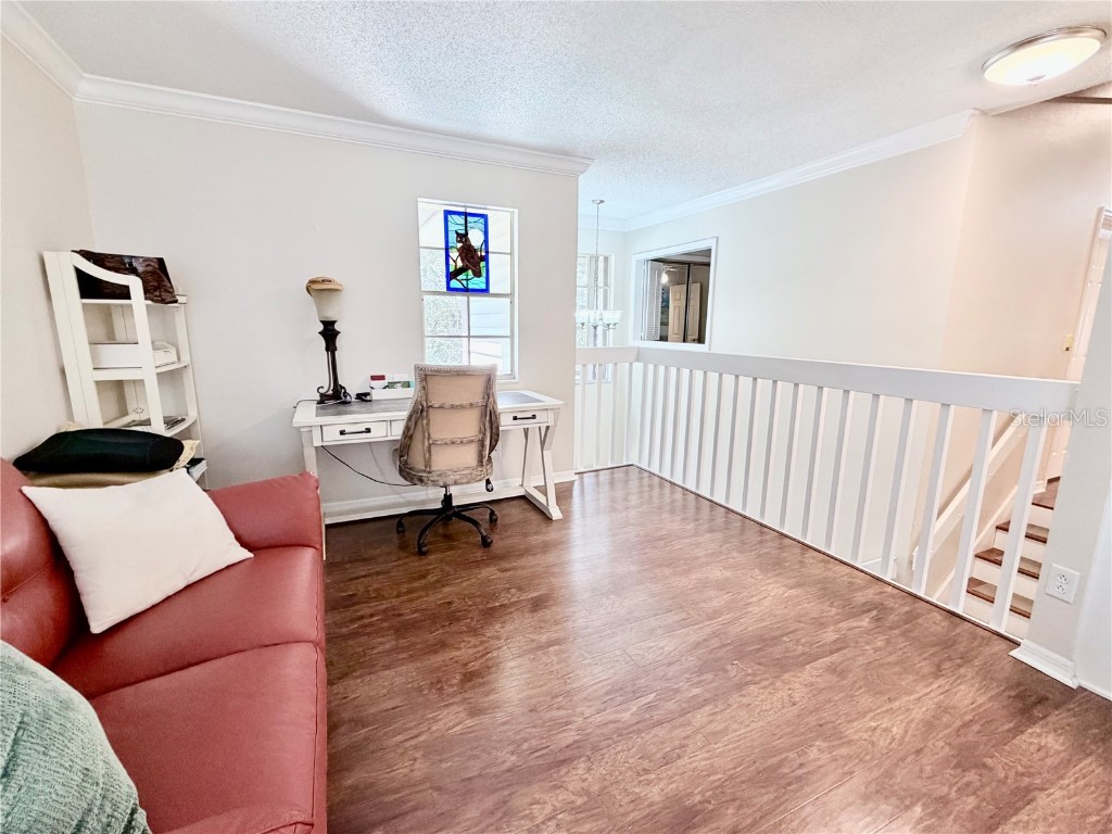 1460 Mahogany Lane Palm Harbor FL 34683 TB8432282 image14