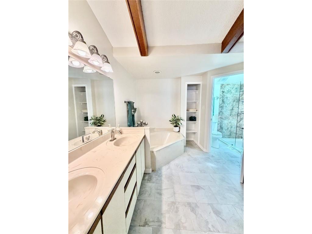 1460 Mahogany Lane Palm Harbor FL 34683 TB8432282 image19