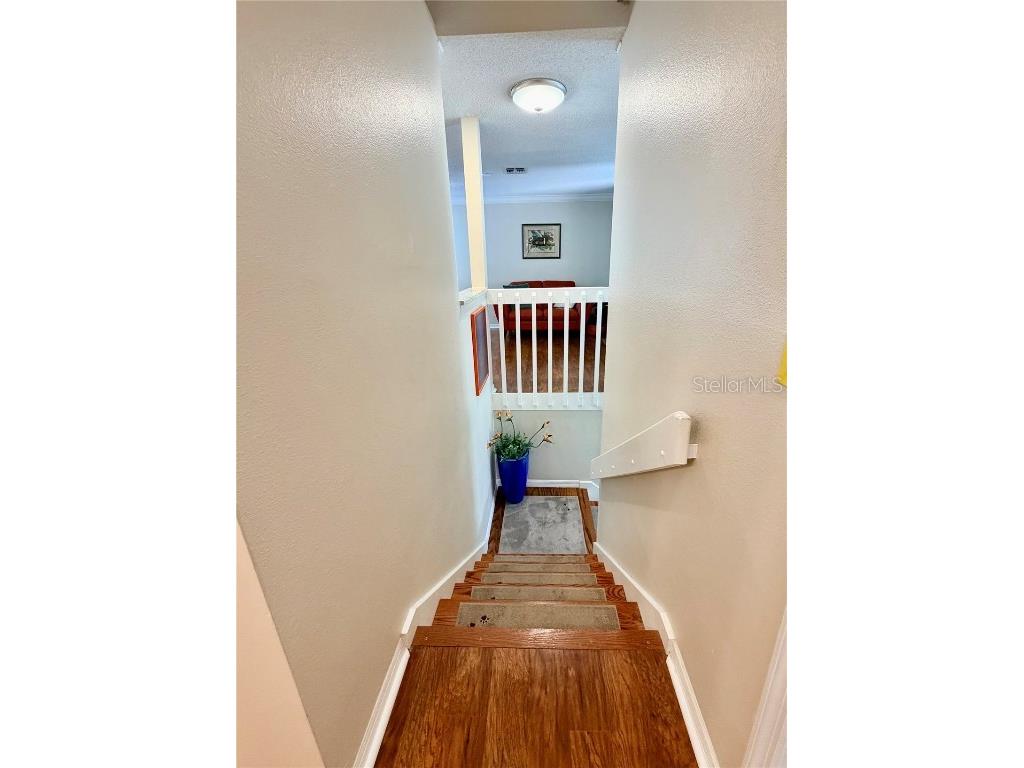 1460 Mahogany Lane Palm Harbor FL 34683 TB8432282 image20