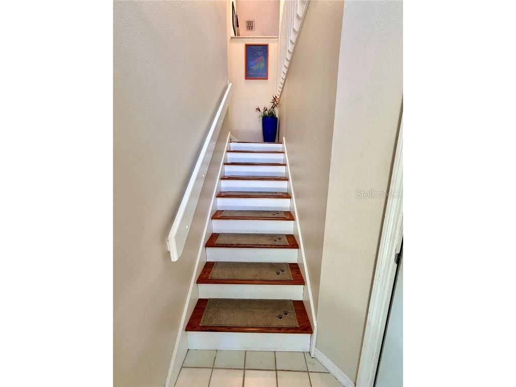 1460 Mahogany Lane Palm Harbor FL 34683 TB8432282 image21