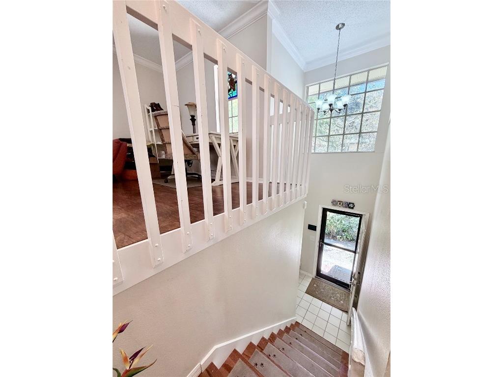 1460 Mahogany Lane Palm Harbor FL 34683 TB8432282 image22