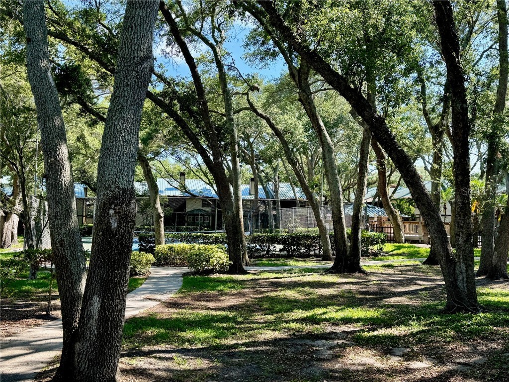 1460 Mahogany Lane Palm Harbor FL 34683 TB8432282 image27