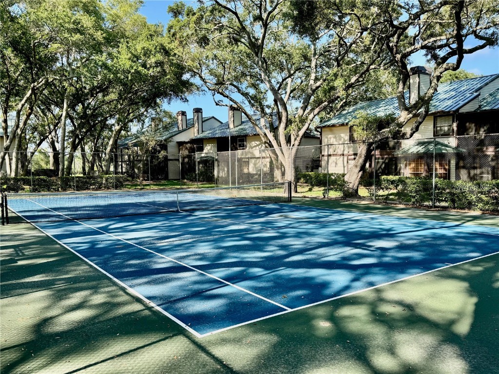 1460 Mahogany Lane Palm Harbor FL 34683 TB8432282 image30