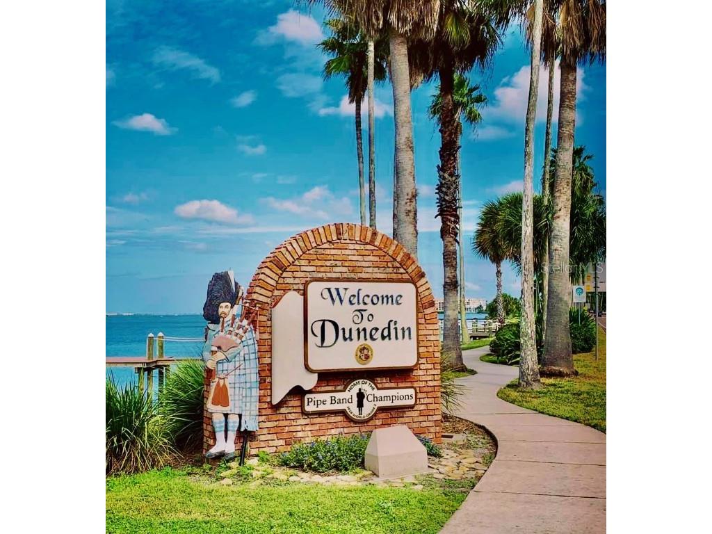 1460 Mahogany Lane Palm Harbor FL 34683 TB8432282 image36