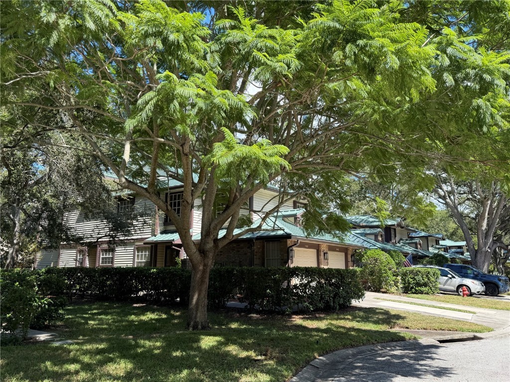 1460 Mahogany Lane Palm Harbor FL 34683 TB8432282 image5