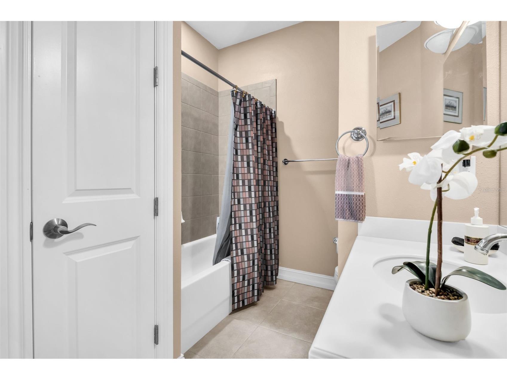 1460 Ribolla Drive Palm Harbor FL 34683 TB8522358 image20