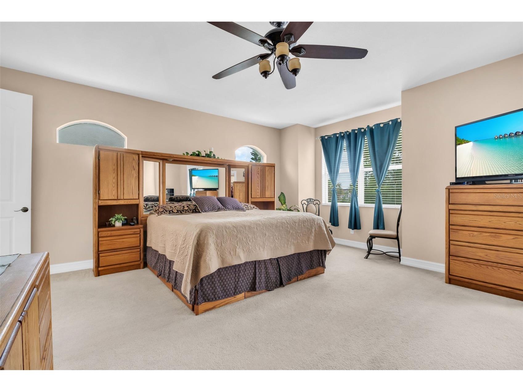 1460 Ribolla Drive Palm Harbor FL 34683 TB8522358 image23
